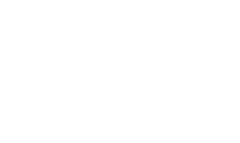 Hochzeit Mustang